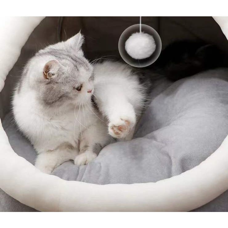 ネコ用ベッド ペットベッド 猫 | PlusNao | 詳細画像7 