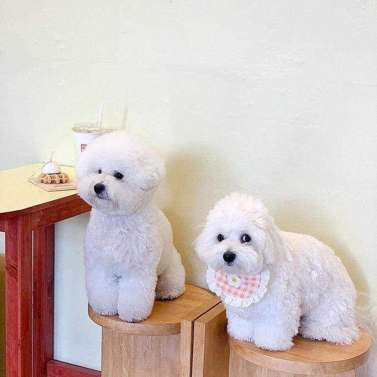 ペット用スタイ よだれかけ ビブ | PlusNao | 詳細画像4 