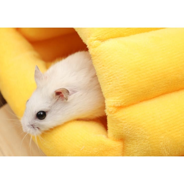小動物用ハウス ペットベッド クッション | PlusNao | 詳細画像5 