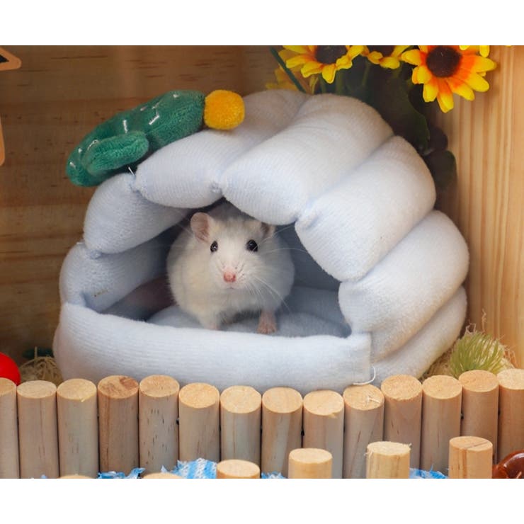 小動物用ハウス ペットベッド クッション | PlusNao | 詳細画像4 