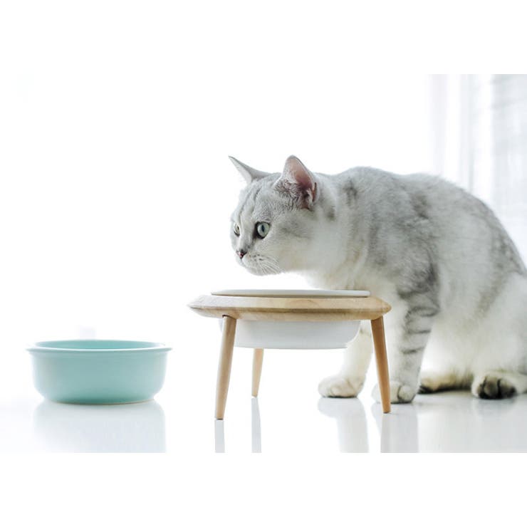 フードボウル ペット用食器 餌皿 | PlusNao | 詳細画像5 