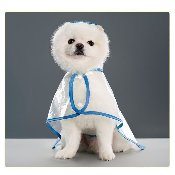 ペット用レインコート レインコート ペットグッズ | PlusNao | 詳細画像2 