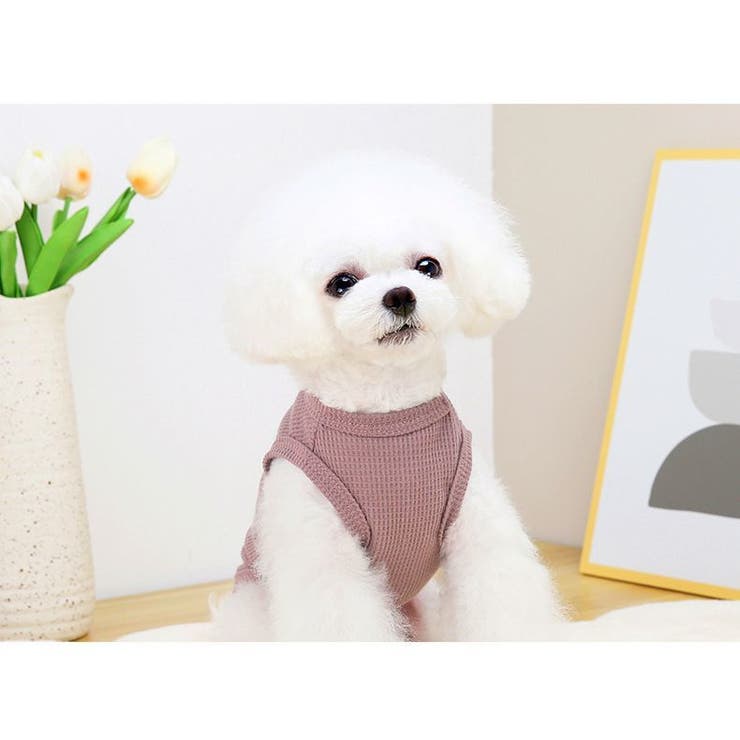 ドッグウェア タンクトップ 犬服 | PlusNao | 詳細画像7 