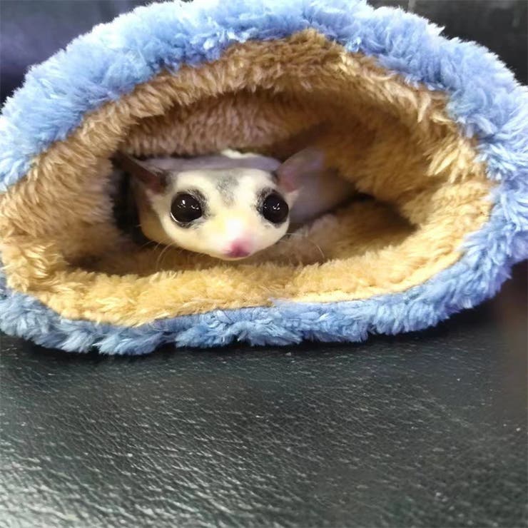 小動物用キャリーバッグ 巾着ポーチ 通気口付き | PlusNao | 詳細画像5 