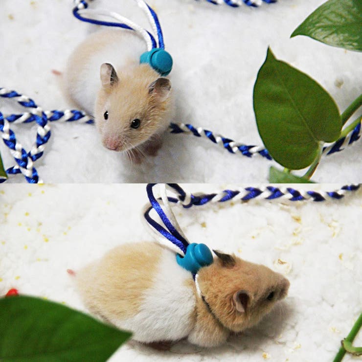 ハーネスリード 小動物用 リード一体型 | PlusNao | 詳細画像3 
