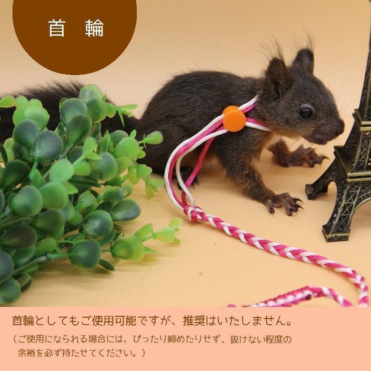 ハーネスリード 小動物用 リード一体型 | PlusNao | 詳細画像6 