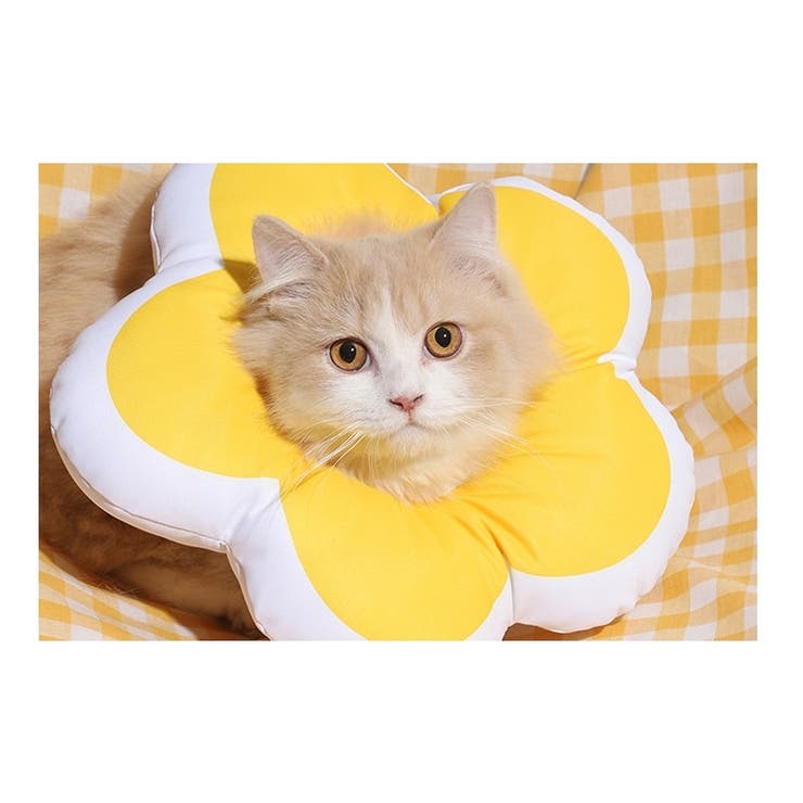 エリザベスカラー ペット用品 犬用品 | PlusNao | 詳細画像2 