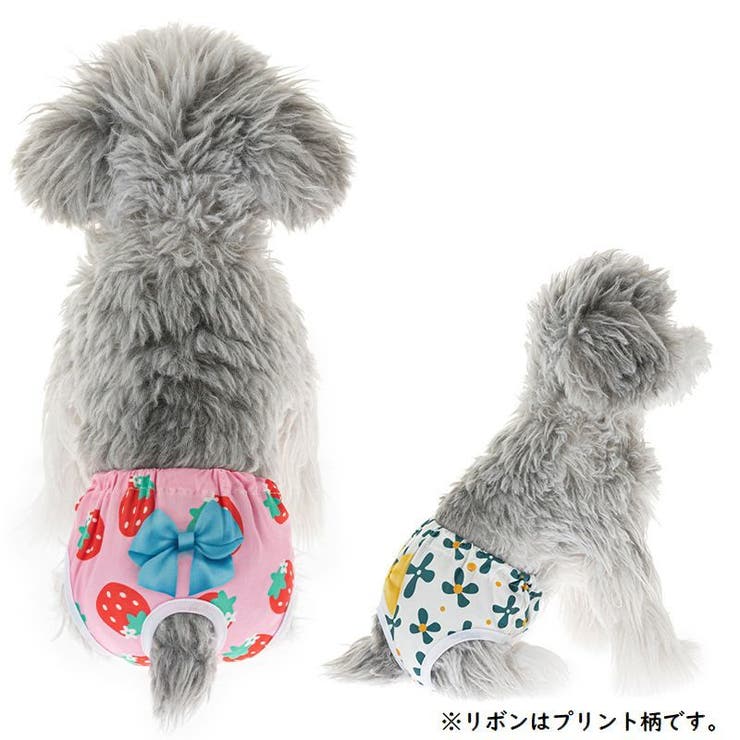 犬用サニタリーパンツ マナーパンツ 生理パンツ | PlusNao | 詳細画像2 