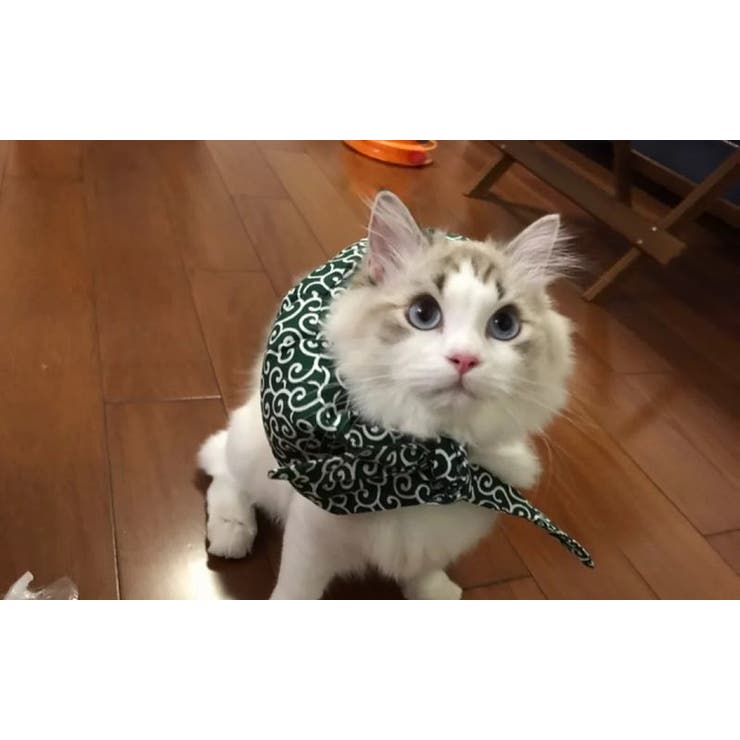 ペット用バンダナ スカーフ 首飾り | PlusNao | 詳細画像4 