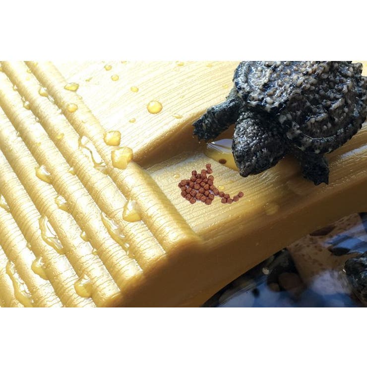 水槽装飾 浮島 ペット用品 | PlusNao | 詳細画像5 