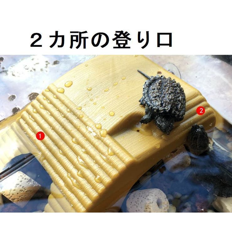 水槽装飾 浮島 ペット用品 | PlusNao | 詳細画像6 