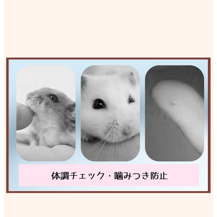 ハムスタークリップ ペット用 ペットキャッチャー | PlusNao | 詳細画像9 