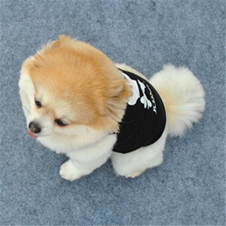 ペット用 犬 ドッグウェア | PlusNao | 詳細画像3 