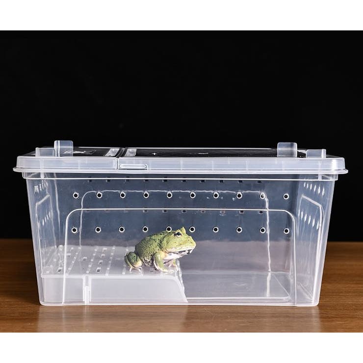 温室・飼育ケース nao 飼育ケース プラスチックケース プラケース[品番：FQ000204612
