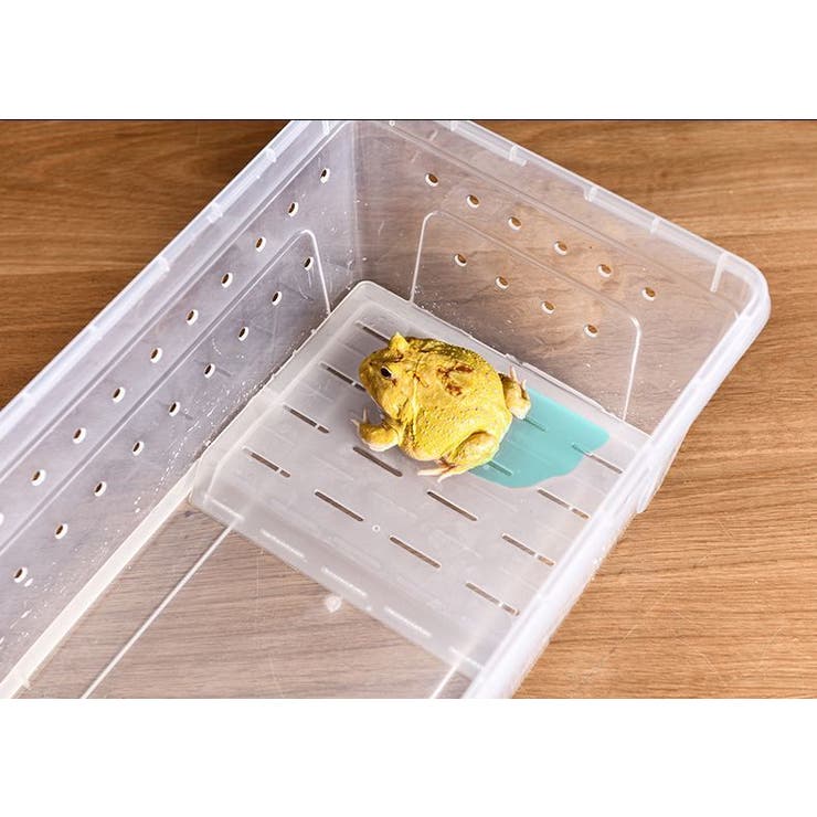 飼育ケース プラスチックケース プラケース[品番：FQ000204612