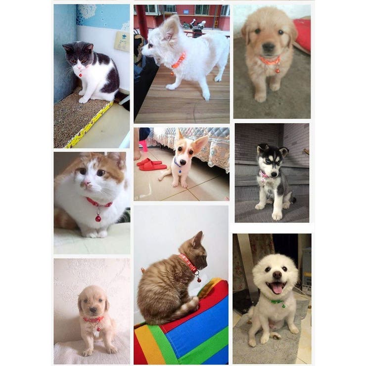 首輪 ペット用 単品 | PlusNao | 詳細画像2 