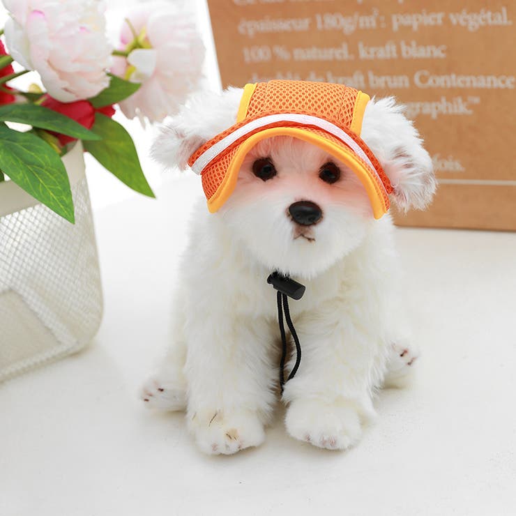ドッグキャップ 犬用帽子 キャップ | PlusNao | 詳細画像4 