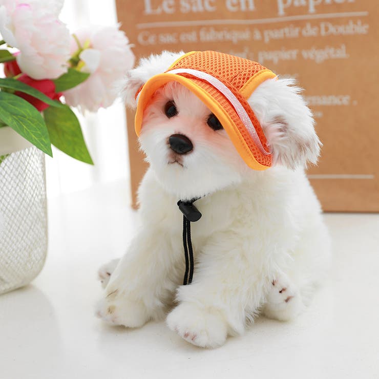 ドッグキャップ 犬用帽子 キャップ | PlusNao | 詳細画像5 
