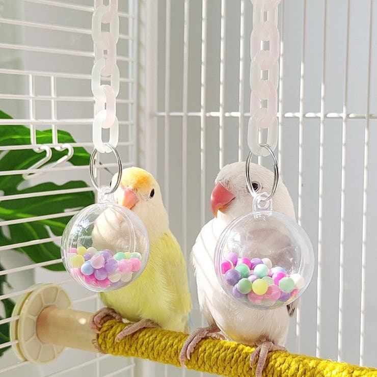 鳥用おもちゃ 鳥用玩具 ペット用おもちゃ | PlusNao | 詳細画像2 