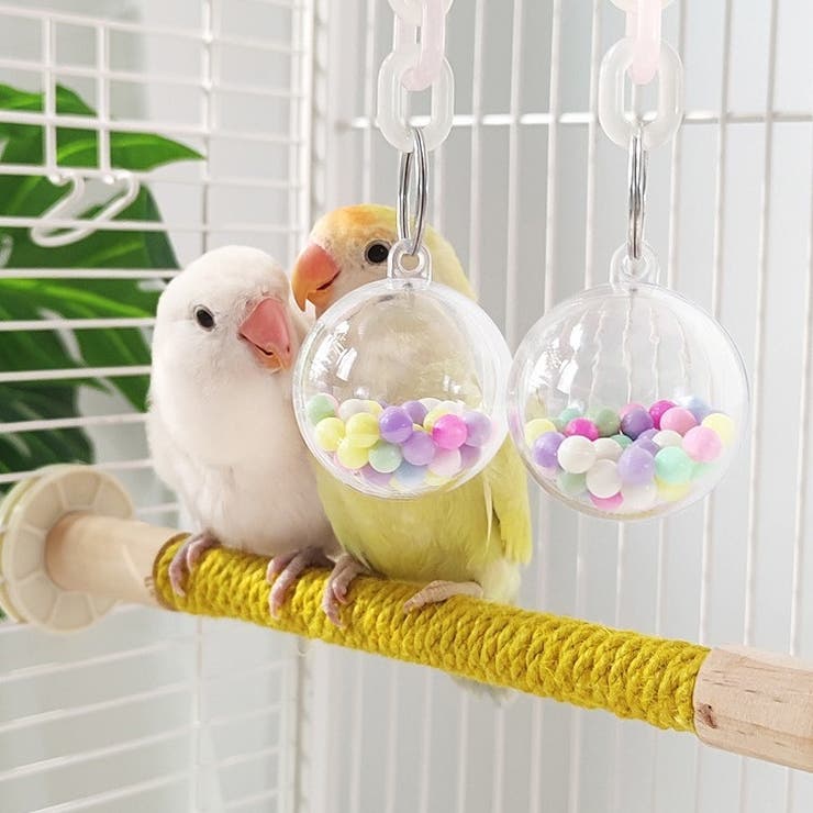 鳥用おもちゃ 鳥用玩具 ペット用おもちゃ | PlusNao | 詳細画像4 