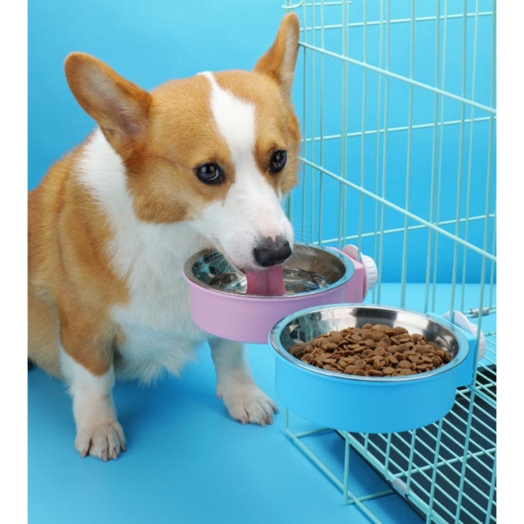 ペット用食器 フードボウル ウォーターボウル | PlusNao | 詳細画像2 