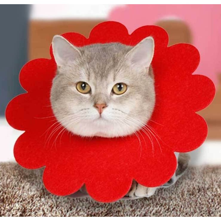 エリザベスカラー ペット用 猫 | PlusNao | 詳細画像2 