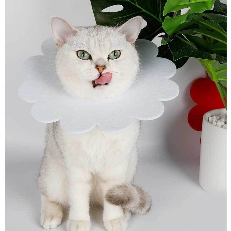 エリザベスカラー ペット用 猫 | PlusNao | 詳細画像3 