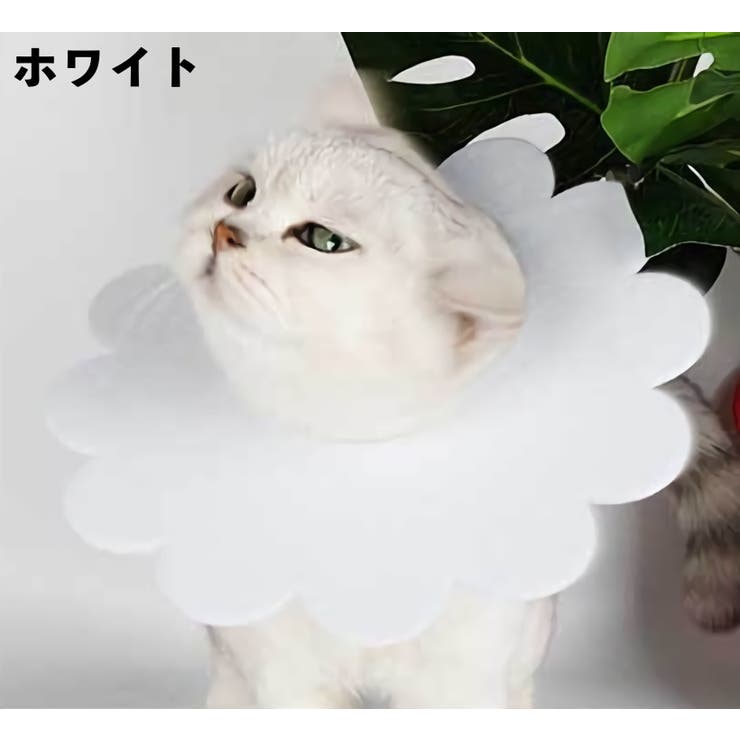 エリザベスカラー ペット用 猫 | PlusNao | 詳細画像4 