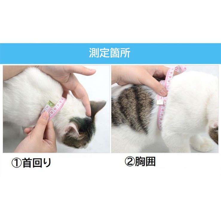 猫用 ハーネス リード | PlusNao | 詳細画像12