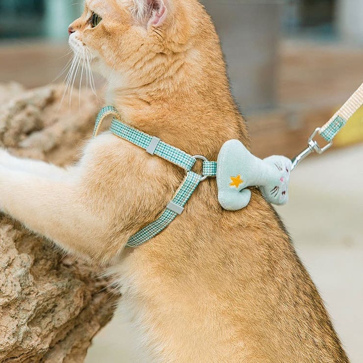 ハーネス リード 2点セット | PlusNao | 詳細画像3