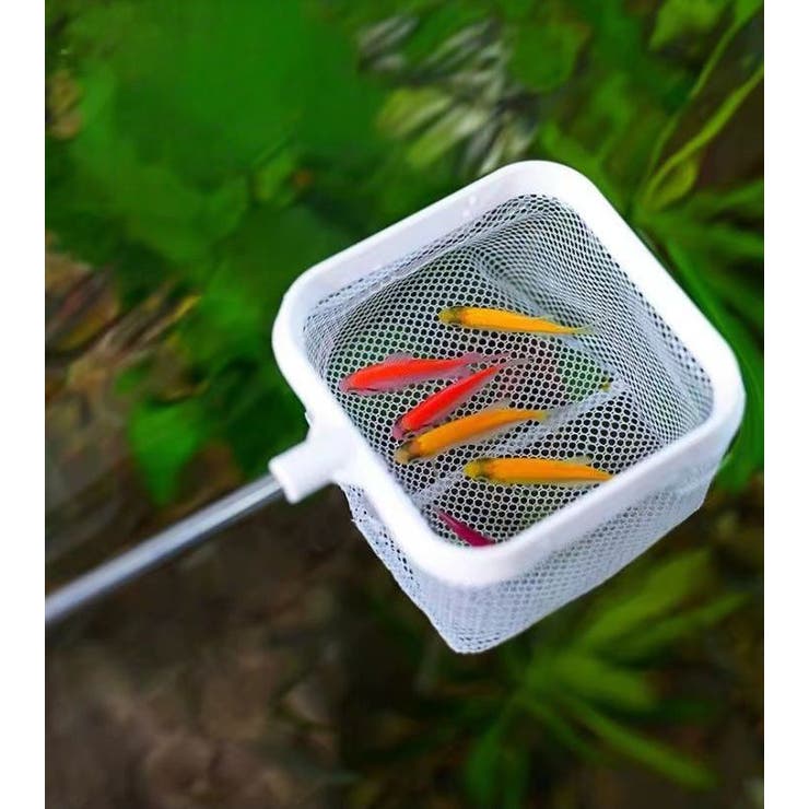 フィッシュネット 伸縮式 鑑賞魚用 | PlusNao | 詳細画像6 