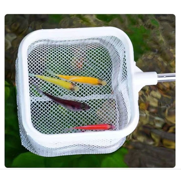 フィッシュネット 伸縮式 鑑賞魚用 | PlusNao | 詳細画像8 