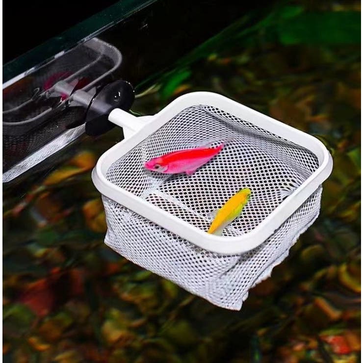 フィッシュネット 伸縮式 鑑賞魚用 | PlusNao | 詳細画像9 