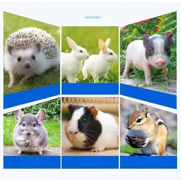 小動物用すのこ スノコ ケージマット | PlusNao | 詳細画像8 