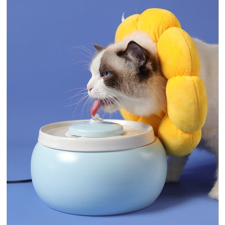 エリザベスカラー 猫 犬 | PlusNao | 詳細画像4 