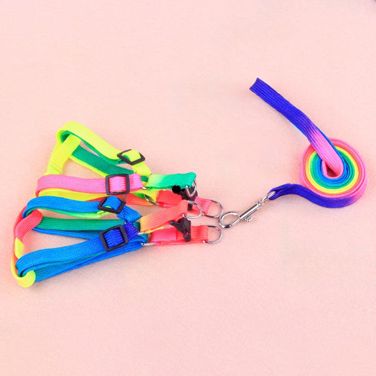 ハーネス リード 2点セット | PlusNao | 詳細画像11 