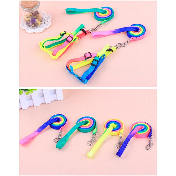 ハーネス リード 2点セット | PlusNao | 詳細画像12 