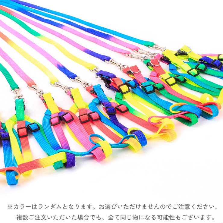 ハーネス リード 2点セット | PlusNao | 詳細画像3 