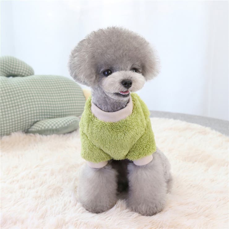 ドックウェア ペットウェア 犬 | PlusNao | 詳細画像11 