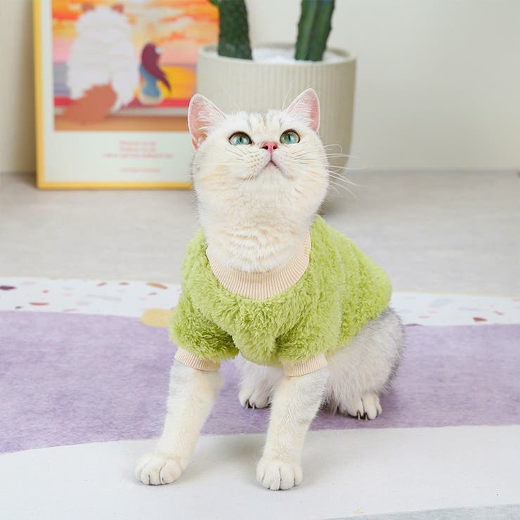 ドックウェア ペットウェア 犬 | PlusNao | 詳細画像13 