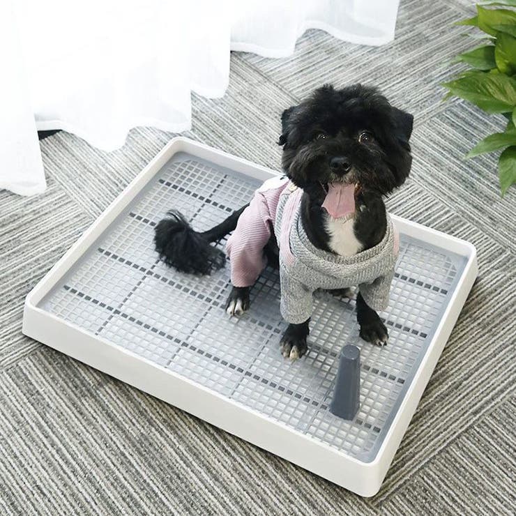 犬用トイレ トイレトレー 小型犬 品番 Fq Plusnao プラスナオ のレディースファッション通販 Shoplist ショップリスト