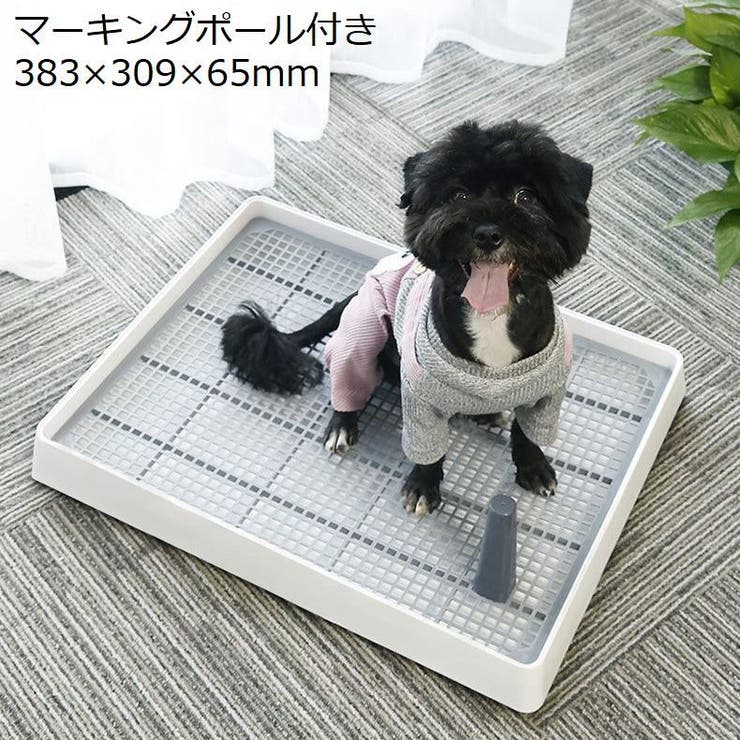 犬用トイレ トイレトレー 小型犬[品番：FQ000142995]｜PlusNao