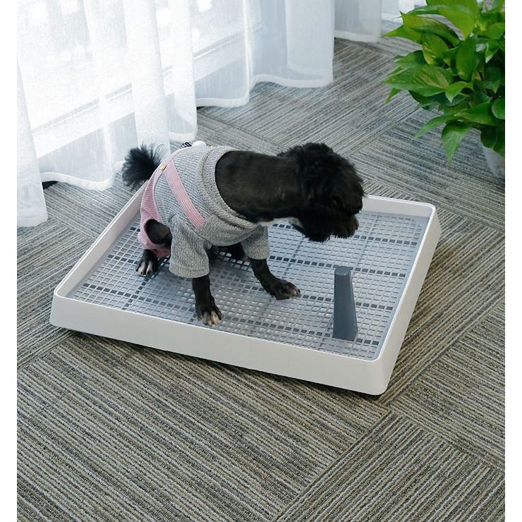 犬用トイレ トイレトレー 小型犬 | PlusNao | 詳細画像4 
