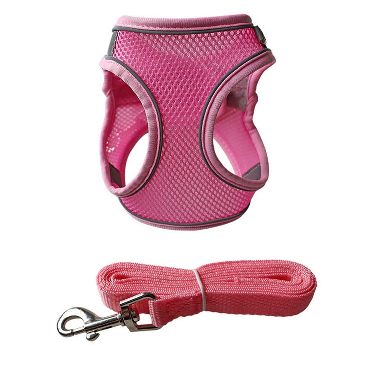 ハーネス リード 2点セット | PlusNao | 詳細画像7 