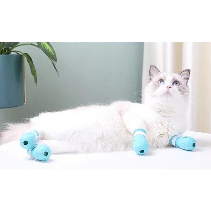 猫用足カバー 爪カバー 猫靴 | PlusNao | 詳細画像3 
