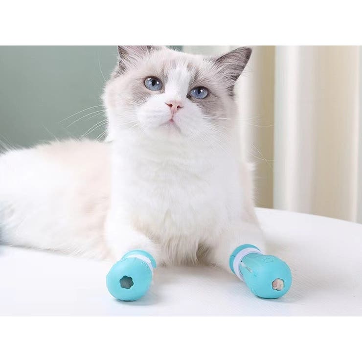猫用足カバー 爪カバー 猫靴 | PlusNao | 詳細画像5 