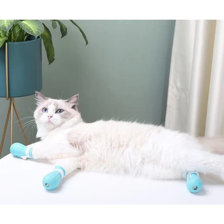 猫用足カバー 爪カバー 猫靴 | PlusNao | 詳細画像6 