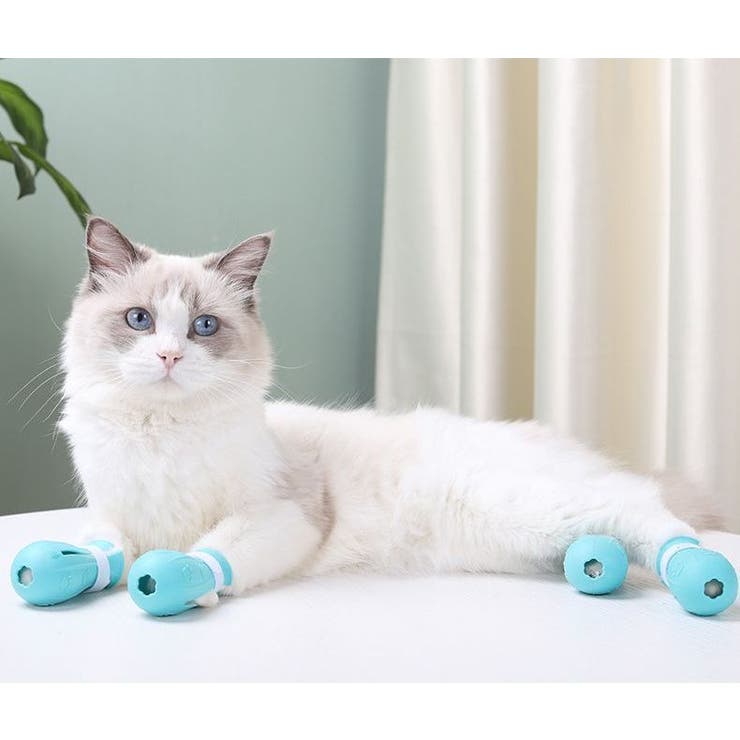 猫用 足カバー 猫靴 | PlusNao | 詳細画像2 