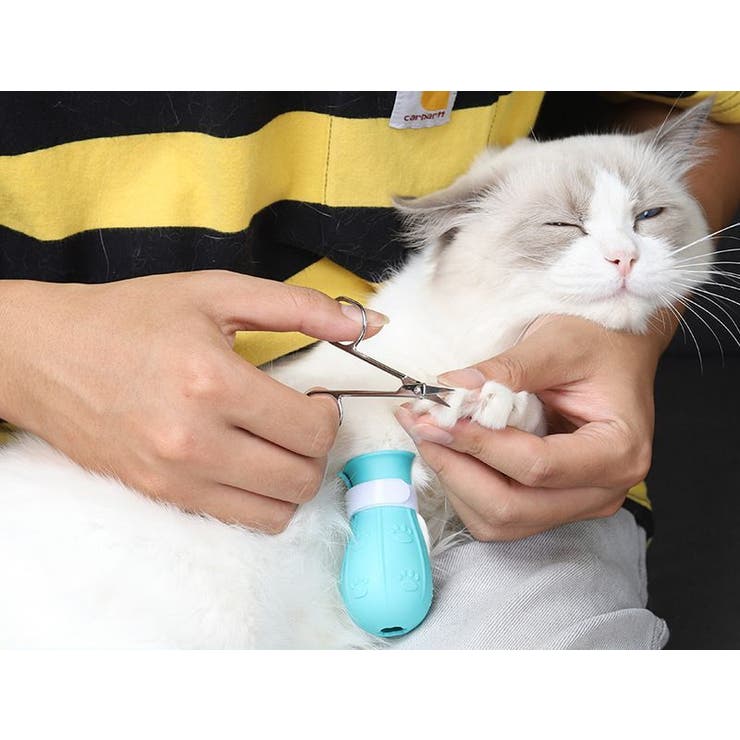 猫用 足カバー 猫靴 | PlusNao | 詳細画像3 