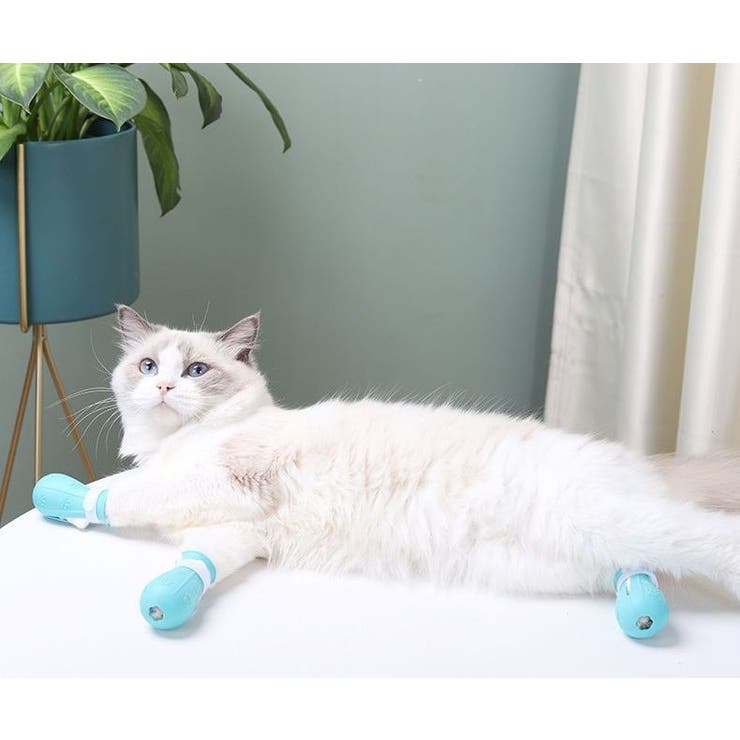 猫用 足カバー 猫靴 | PlusNao | 詳細画像6 